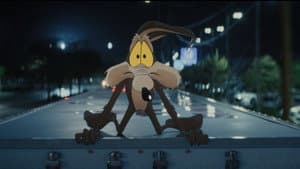 Coyote vs ACME — foto 6