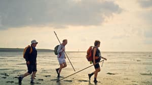 Langs de Kust — foto 1