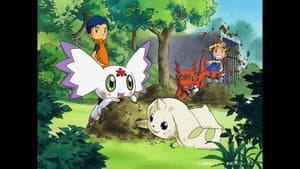 Digimon Tamers — foto 7