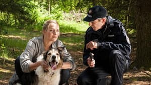 Reiff für die Insel - Katharina und der Schäfer — foto 2