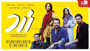 زرد — foto 1