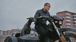 狗阵 — foto 2