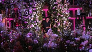 Phoebe Robinson: Sorry, Harriet Tubman — foto 4