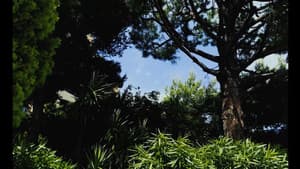 Le monteur — foto 2