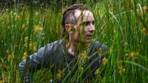 The Survivalist — foto 1