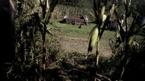 Campos de sangre — foto 1