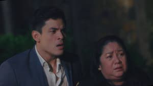 Episodio 29