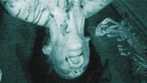 Paranormal Entity — foto 1