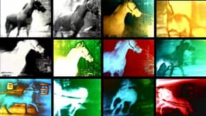 Berlin Horse — foto 1