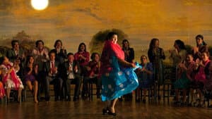 Flamenco Flamenco — foto 11