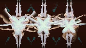 Cygnes — foto 1