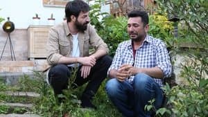 Episodio 29