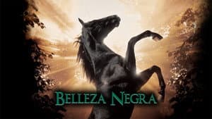 Belleza Negra — foto 5