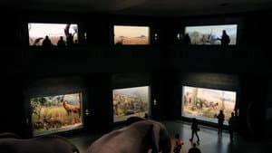 Curiosity and Control — foto 4