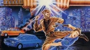 Ninja in Action — foto 1
