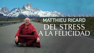 Del estrés a la felicidad — foto 6