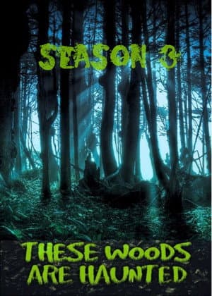 Temporada 3