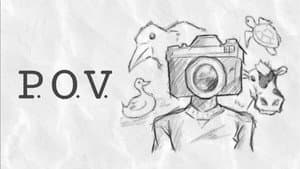 P.O.V. — foto 1