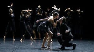 Le lac des cygnes au théâtre national de Chaillot — foto 4