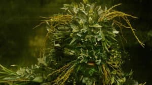 Leaf Man — foto 2