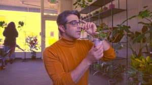 Plant Dad — foto 1