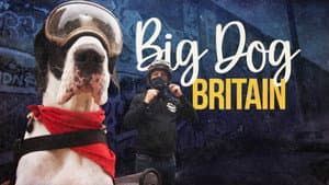 Big Dog Britain — foto 1