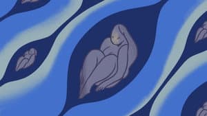 Episodio 28