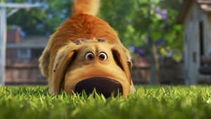 La vida de Dug — foto 5