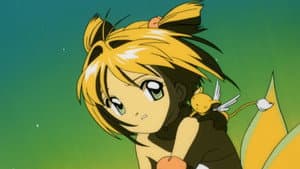 El día sin fin de Sakura