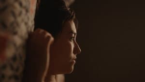 Like Love — foto 2