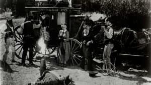Buffalo Gun — foto 1