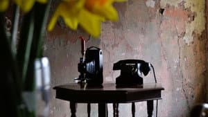 The Telephone — foto 1