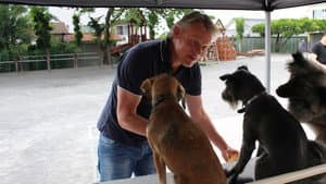 Man & Beast with Martin Clunes — foto 1
