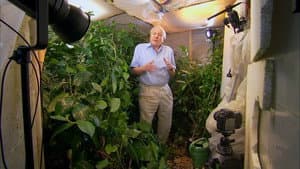 Attenborough: 60 Years in the Wild — foto 2