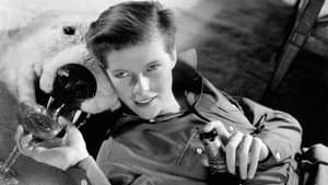 Sylvia Scarlett — foto 5