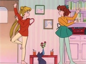 El largo y sinuoso camino al estrellato