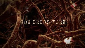 How Drugs Work — foto 2