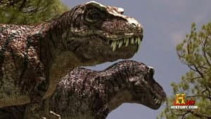 Episodio 8