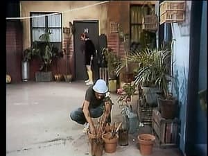 La historia de Cyrano de Bergerac. No como fue, sino como pudo haber sido / Perdonar a los enemigos