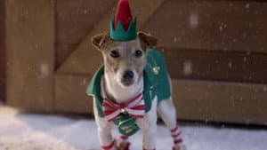 Santa Buddies — foto 3