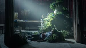 Dalah: Flores y muerte — foto 6