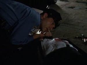 Episodio 5