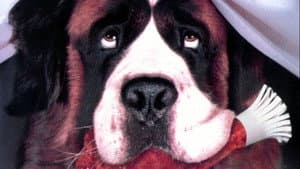 Beethoven — foto 8