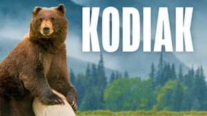 Kodiak — foto 4