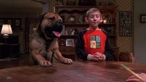 Dewey y su Perro