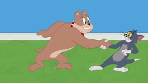 Episodio 51