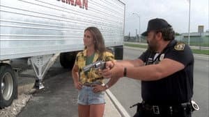 Dos súper policías en Miami — foto 5