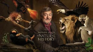 Animales Fantásticos: Una Historia Natural — foto 6