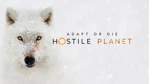 Planeta hostil — foto 4
