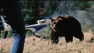 Grizzly: Garras de la muerte — foto 8